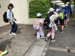 IMG_3716.jpeg