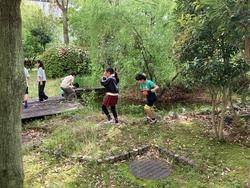 IMG_3723.jpeg