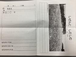 IMG_3725.jpeg