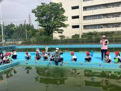 IMG_3790.jpeg