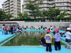 IMG_3814.jpeg