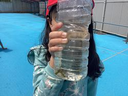 IMG_3816.jpeg
