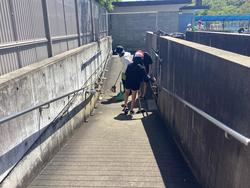 IMG_3903.jpeg