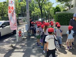 IMG_3995.jpeg