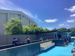 IMG_4110.jpeg