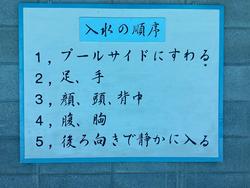 IMG_4123.jpeg