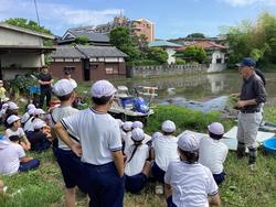 IMG_4125.jpeg