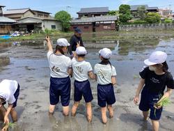 IMG_4157.jpeg