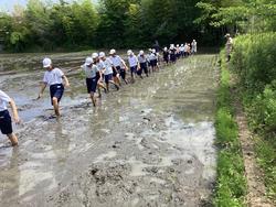 IMG_4167.jpeg