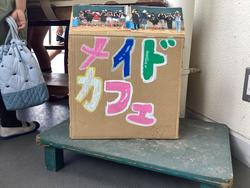 IMG_4254.jpeg