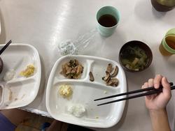 IMG_4335.jpeg