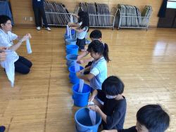 IMG_4708.jpeg