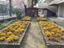 IMG_0014.jpeg