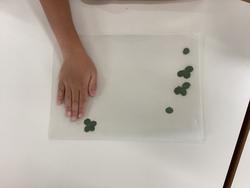 IMG_0715.jpeg