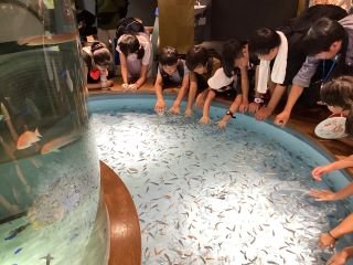 ２日目宮島水族館.jpg