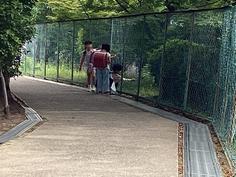 IMG_2449.jpg
