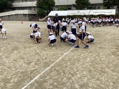 IMG_2536.jpg