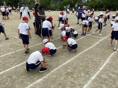 IMG_2544.jpg