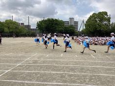 IMG_2518.jpg