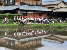 IMG_2917.jpg