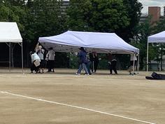IMG_2598.jpg