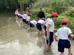 IMG_2911.jpg