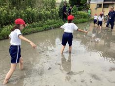 IMG_2916.jpg