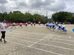 IMG_2519.jpg