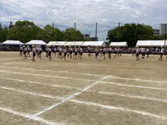 IMG_2677.jpg