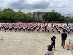 IMG_5205.jpg
