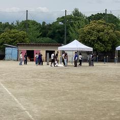 IMG_5219.jpg