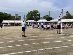 IMG_5240.jpg