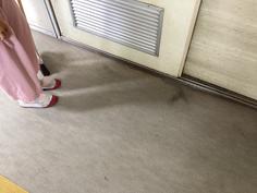 IMG_5254.jpg