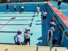 IMG_5323.jpg