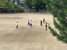 IMG_5331.jpg