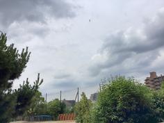 IMG_5382.jpg