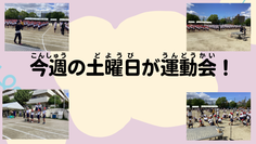 12.png