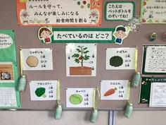 IMG_5574.jpg