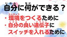 17.png