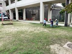 IMG_6004.jpg