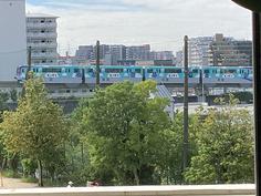 IMG_6217.jpg