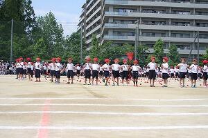 IMG_8026.jpg