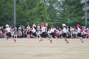 IMG_7864.jpg