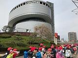 IMG_0866.jpg