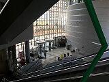 IMG_1043.jpg