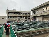 IMG_1138.jpg