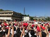IMG_1623.jpg