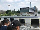 IMG_1886.jpg