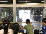 IMG_1909.jpg