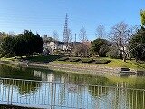 IMG_4017.jpg